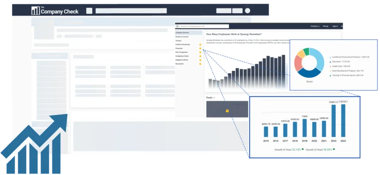 Company Financial Analytics